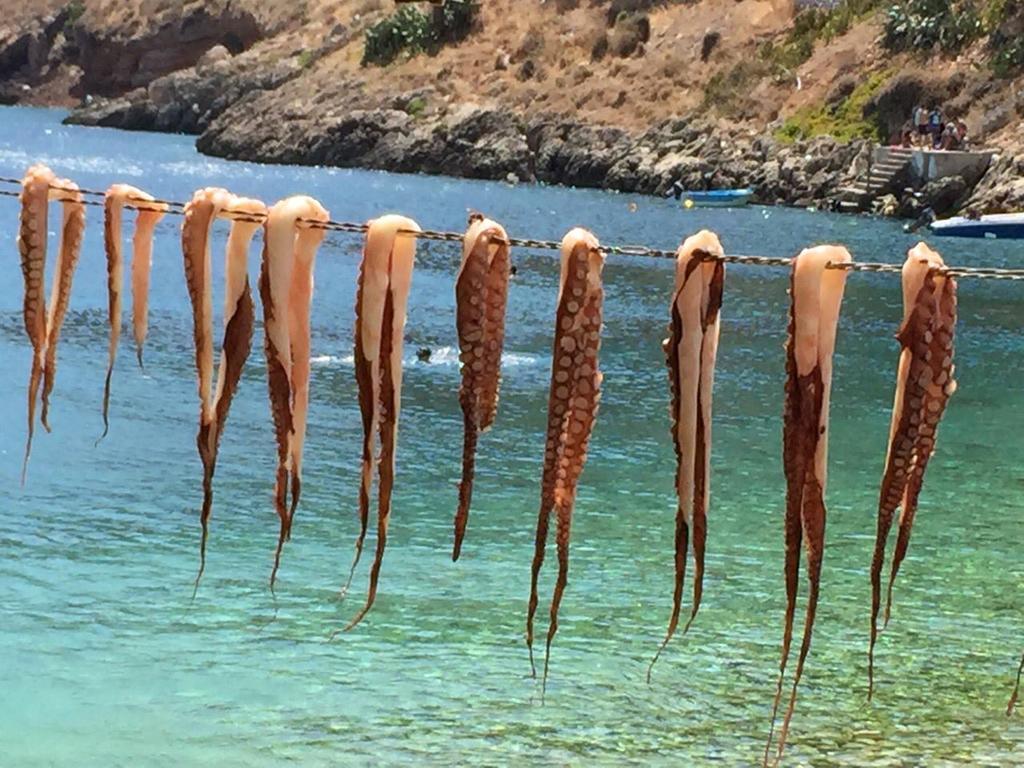 Pyrgoi Theodorakaki: O Gerolimenas Ξενοδοχείο Εξωτερικό φωτογραφία